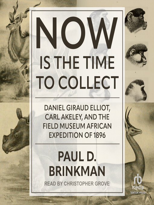 Title details for Now Is the Time to Collect by Paul D. Brinkman - Available